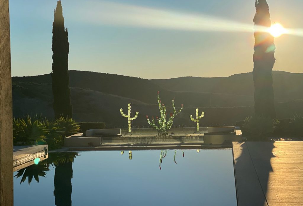 Glass cactus garden at sunrise